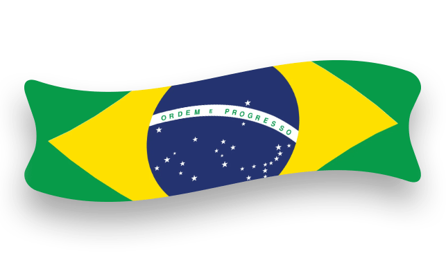 דגל ברזיל